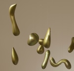 Fire in the Belly, 2007 (Detail)