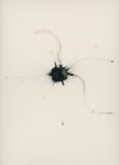 Virus, 2020
Watercolor  on paper
16.75” x 12.75”
TG 4636