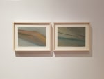 Thought so, 2020
Dry pastel on paper
In 2 parts, each 8 1/4" x 11 3/4"