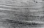 Nasreen Mohamedi
Untitled, ca. 1975 | 2003
Black and white photograph
9 1/2" x 15"
TG 1127