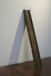 Untitled, 2006
Iron, fiberglass, acrylic
55" x 10 1/2" x 3"