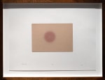 Alwar Balasubramaniam
L.S. II, 2021
Silkscreened earth
Edition of 9
Paper 11.75” x 16.5” | Image 5.5” x 7.5”
Framed 15” x 19.5”
TG# 4378