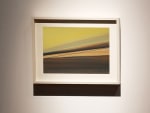 Finally!, 2020
Dry pastel on paper
8 1/4" x 11 3/4"