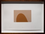 Alwar Balasubramaniam
L.S. VI, 2021
Silkscreened earth
Edition of 9
Paper 11.75” x 16.5” | Image 5.5” x 7.5”
Framed 15” x 19.5”
TG# 4382