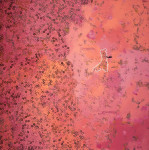 Invasion, 2020
Oil on canvas
48" x 48"
TG 4607