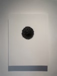 Energy Field, 2009