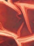 Trace | 2024 (Detail)
 