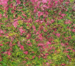 Untitled&amp;nbsp;(Detail)