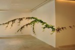 Green Breeze, 2011
Lacquered wood, pigments, and stainless steel