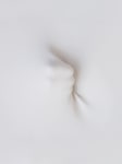 Hidden Sight (Detail)