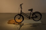 Sequence and Change, 1994
Bicycle, Electric Motor, Mirror and Mud
