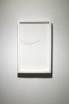 Golden Thorn, 2004