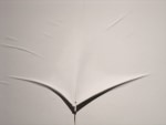 Untitled (Detail)