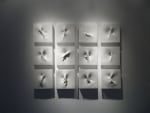 Hidden Waves, 2008