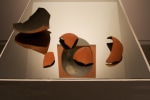 Dissected Projection (Detail)
