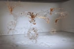 Sun-sneezers blow light bubbles,&amp;nbsp;2007-2008
