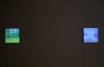 Life is Fluid (Detail)