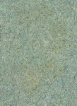 Van Gogh, 2010
C – Print
17" x 13"