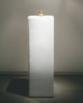 Energy field, 2006
22 Karat cast gold, acrylic, wires, electric current, fiberglass pedestal
Life sized apple cast, 17” x 58” x 17”  