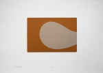 L.S. III, 2021
Silkscreened earth
Paper 11.75” x 16.5” | Image 5.5” x 7.5”
Framed 15” x 19.5”
Edition of 9
 