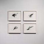Not only, 2014
Right there, 2014
One up, 2014
Almost zero, 2014
Graphite on paper
11.75" x 16.5" (Each of 4)