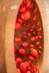 Flame of the Forest&amp;nbsp;(Detail)