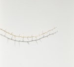 Golden Thorn (Detail)