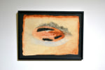 Fatal Echo (Latent seed), 1993
Earth pigment and charcoal on paper
24.25" x 18"   