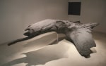 The Tree Inside, 2006-2007
Fiberglass, silicone, charcoal on paper
Cast: 138&amp;rdquo; x 47&amp;rdquo; x 83&amp;rdquo; | Drawing: 58&amp;rdquo; x 76&amp;rdquo;&amp;nbsp;
TG 1495