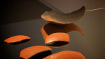 Dissected Projection (Detail)