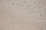 Just a bit more, 2006 (Detail)