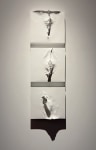 Traces | 2023
Fiberglass and acrylic
40" x 13.25" x 3" (In 3 parts)
TG 5006