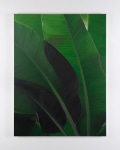 Marcel Vidal&amp;nbsp;
Banana VII, 2021
oil on linen
160 x 120 cm / 63 x 47.2 in&amp;nbsp;
