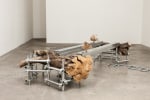 Siobh&amp;aacute;n Hapaska&amp;nbsp;
the recent incarnation of two advanced souls,&amp;nbsp;2012
aluminium, drop-forged scaffold fittings, olive trees, olive tree root balls, motors and various engineering components
97 x 350 x 160 cm / 38.2 x 137.8 x 63 in&amp;nbsp;