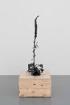 Dorothy Cross
Foxglove, 2024
cast bronze
125 x 58 x 43 cm / 49.2 x 22.8 x 16.9 in
39 x 79.5 x 64.5 cm / 15.4 x 31.3 x 25.4 in plinth