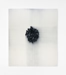 Mark Francis,&amp;nbsp;Nucleus (Restriction)
1995
Oil on canvas
213 x 183 cm / 83.9 x 72 in&amp;nbsp; &amp;nbsp;