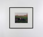 Samuel Laurence Cunnane
Car crash outside Milan, 2023
Hand-printed C-type print on archival photo paper, framed
edition of 3 + 1AP
19.4 x 24 cm / 7.6 x 9.4 in image size&amp;nbsp;