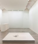 Dorothy Cross
ROOM,&amp;nbsp;2019
Carrara marble
24 x 240 x 480 cm cm / 9.4 x 94.5 x 189 in&amp;nbsp;