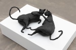 Andy Fitz
Cats II, 2021
wire, card, tape, plaster bandage, pigmented jesmonite
18 x 74 x 43 cm / 7.1 x 29.1 x 16.9 in

&amp;nbsp;