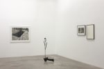 Dorothy Cross &amp;amp; William McKeown,&amp;nbsp;POOL, Kerlin Gallery, Dublin 19th February - 20th March 2010