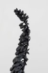 Dorothy Cross
Foxglove, 2024
cast bronze
125 x 58 x 43 cm / 49.2 x 22.8 x 16.9 in
39 x 79.5 x 64.5 cm / 15.4 x 31.3 x 25.4 in plinth