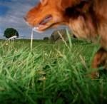 Paul Seawright&amp;nbsp;
Friday 25th May 1973, 1988
colour type C print on aluminium
50.8 x 50.8 cm / 20 x 20 in&amp;nbsp; &amp;nbsp;