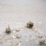 Paul Seawright&amp;nbsp;
Fires Belfast series, 1997
colour type C print on aluminium, edition of 6
150 x 150 cm / 59.1 x 59.1 in&amp;nbsp;&amp;nbsp;
&amp;nbsp;