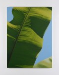 Marcel Vidal
Banana XIII,&amp;nbsp;2022
oil on linen
160 x 120 cm / 63 x 47.2 in