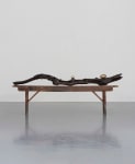 Dorothy Cross
Branch, 2017
cast bronze branch, three polished bronze eggs, antique wooden bench
20 x 203 x 15 cm / 7.9 x 79.9 x 5.9 in sculpture
52 x 183 x 21 cm / 20.5 x 72 x 8.3 in bench