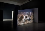Gerard Byrne
Jielemeguvvie guvvie sjisjnjeli &amp;ndash; Film inside an Image,&amp;nbsp;2016
single channel film, back projection 17 minutes, continuous loop
Installation view, Secession, Vienna 2019, photo: Iris Ranzinger