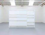 Leeched Screen,&amp;nbsp;2014

powder-coated aluminium, Plexiglas

304.8 x 213.5 x 31.5 cm / 120 x 84.1 x 12.4 in