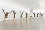 Siobh&amp;aacute;n Hapaska&amp;nbsp;
a great miracle needs to happen there, 2011
olive trees &amp;ldquo;Olea europaea&amp;rdquo;, lead free solder, brass, steel, cast iron, 9 elements
dimensions of each vary