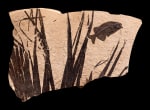 Fossil Palm and Fish Mural 5543am (SOLD)