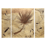 Fossil Palm and Fish Triptych 3001abc (SOLD)
